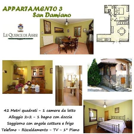 Le Querce Di Assisi Guest House Piano Delle Pieve Eksteriør bilde