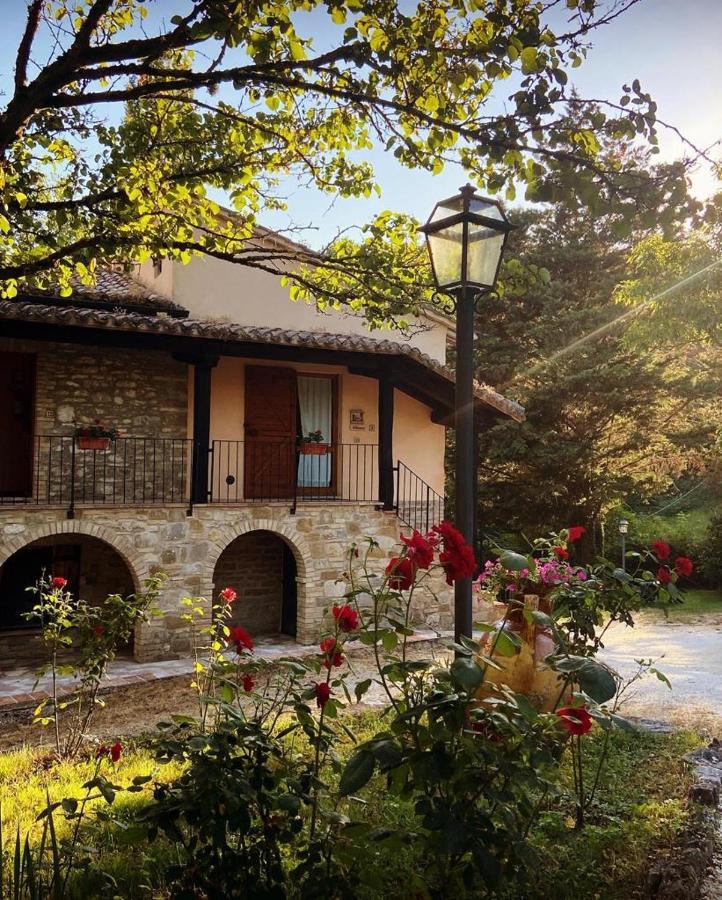 Le Querce Di Assisi Guest House Piano Delle Pieve Eksteriør bilde